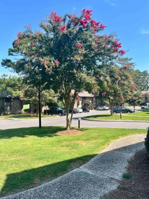 The Green Tee Suite Pinehurst Extérieur photo
